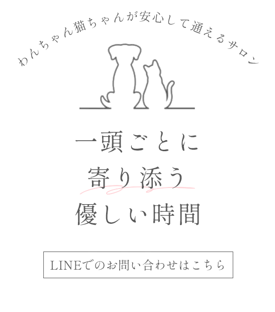 一頭ごとに寄り添う優しい時間