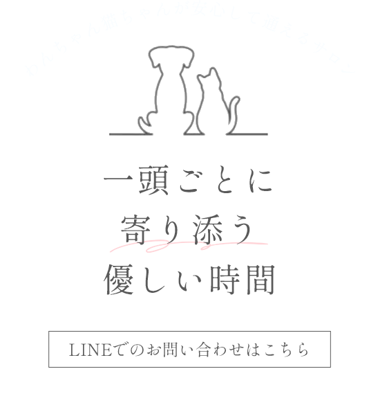 一頭ごとに寄り添う優しい時間