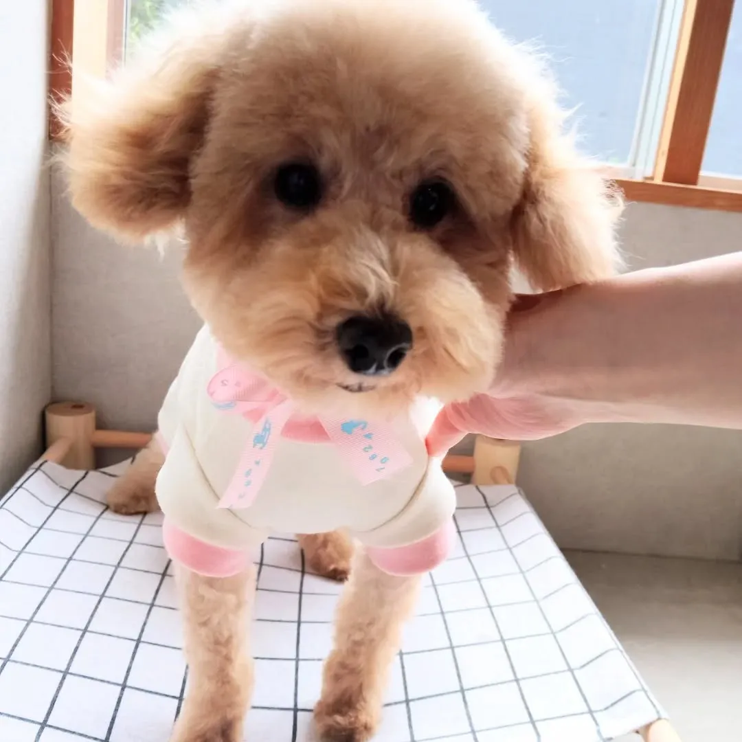 ふんわりもこもこになりました✨