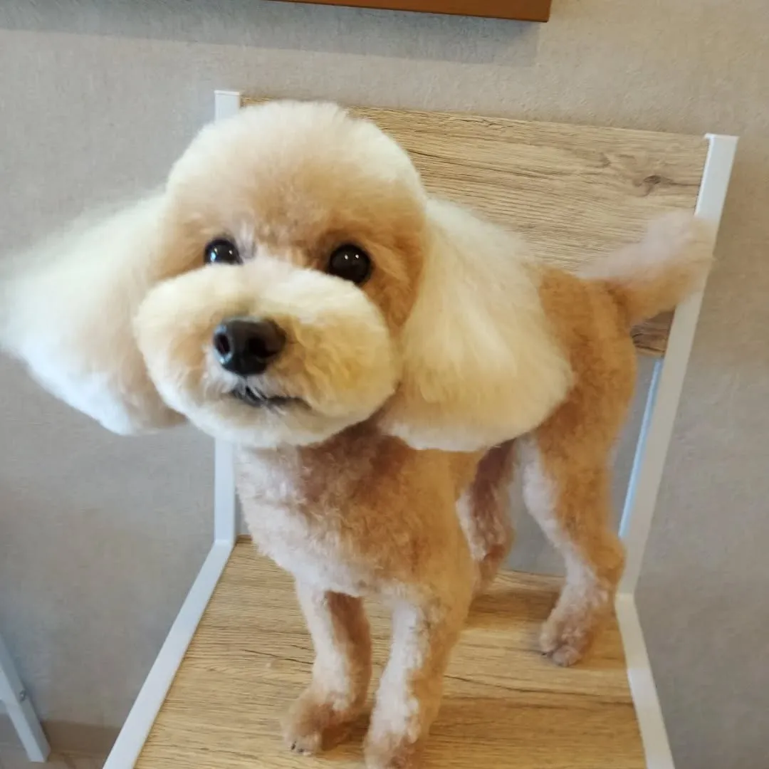 ハーブパックでハリコシ🆙✨