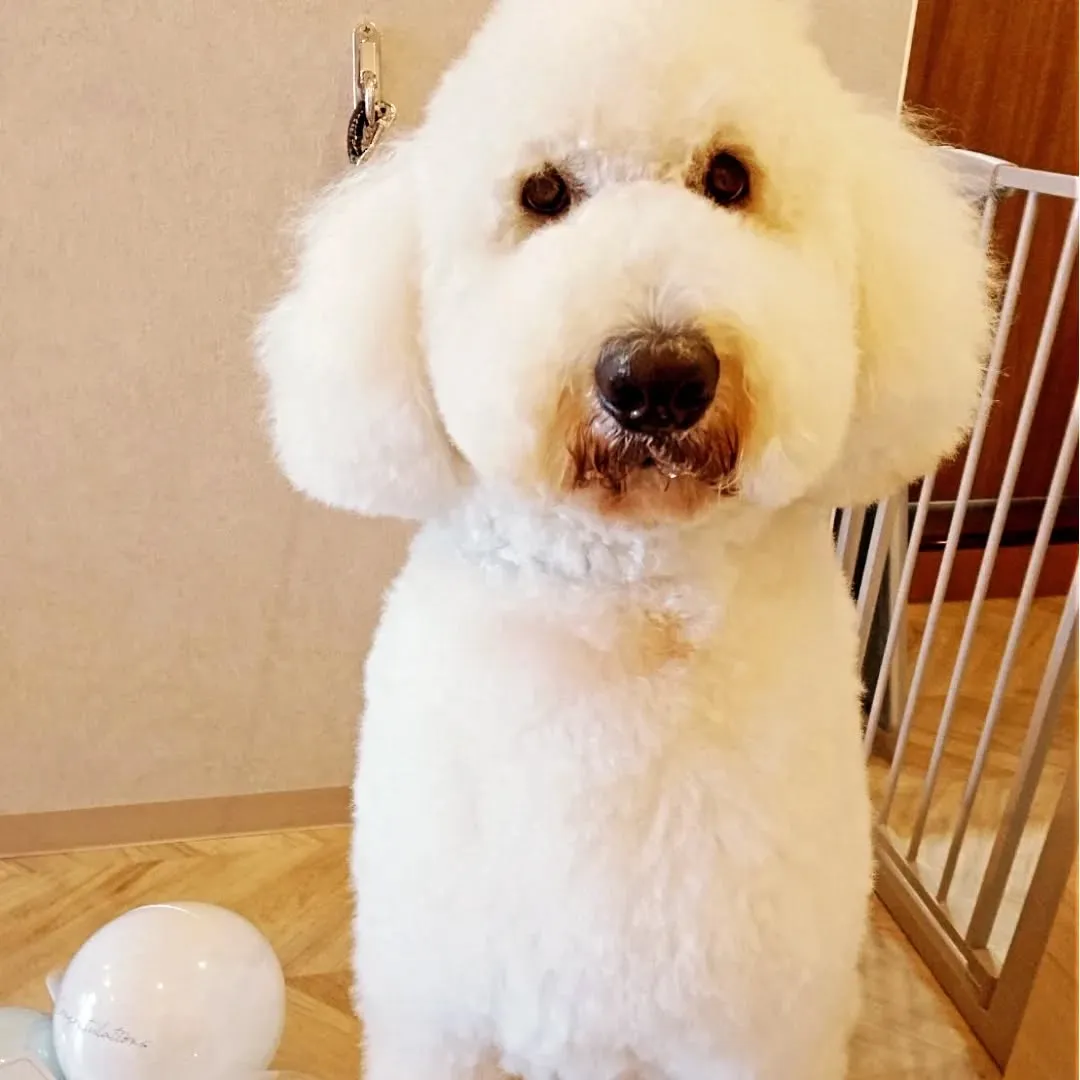 アーユルヴェーダハーブパック♡