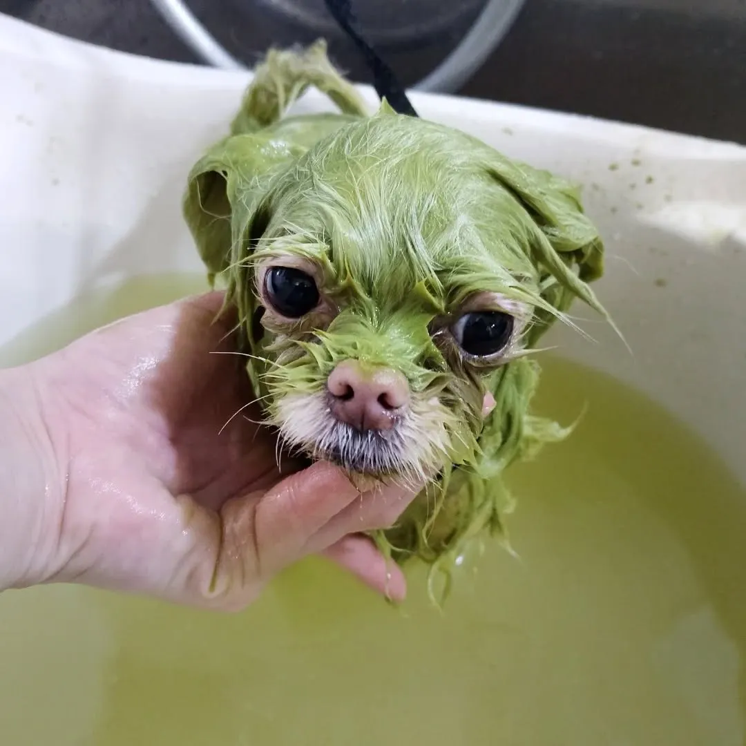 ハーブパック🌿