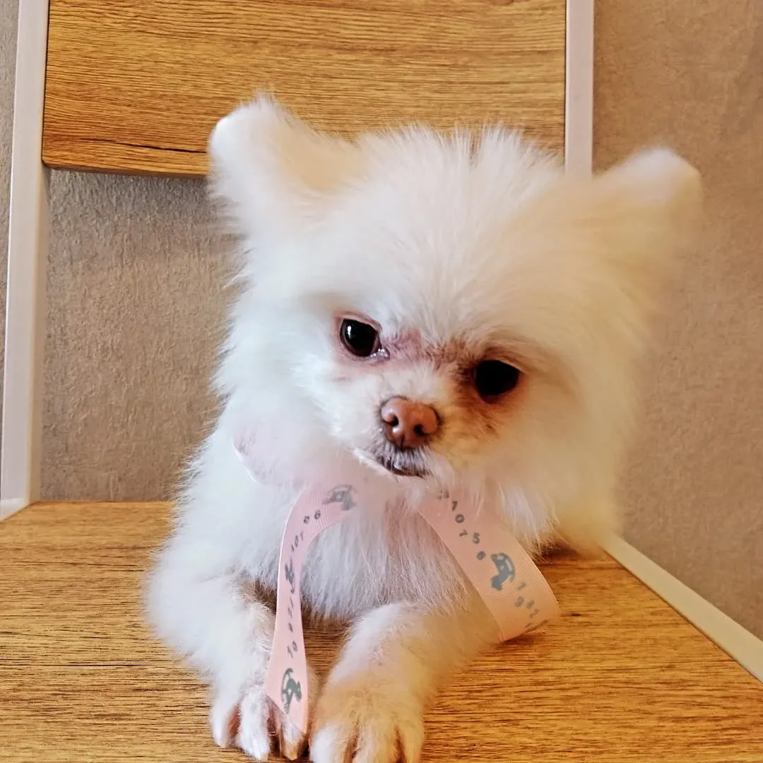 ハーブパック🌿