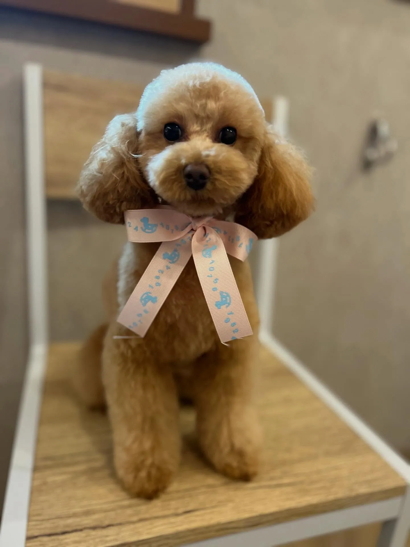 ハーブパック🌿