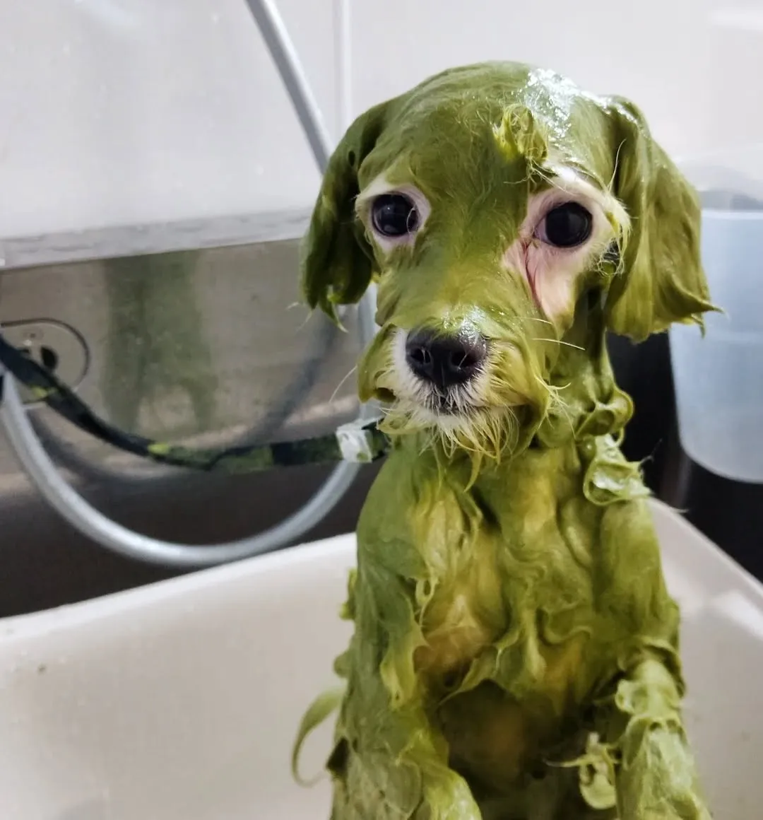 ハーブパック🌿