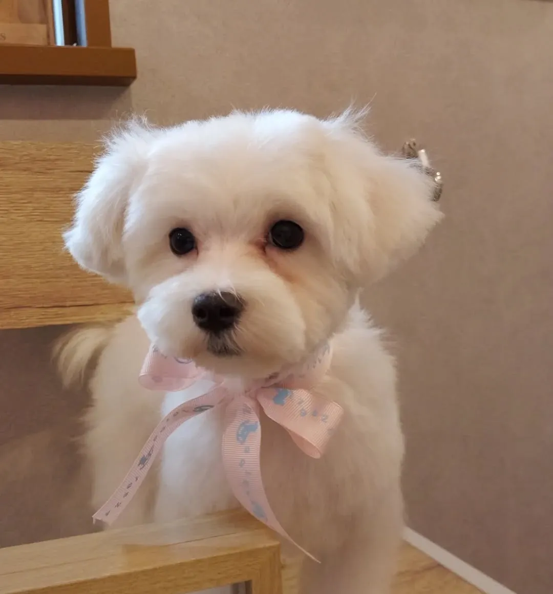 ハーブパック🌿