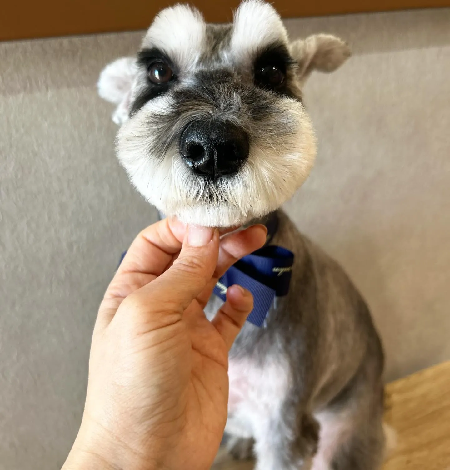 ハーブパック🌿