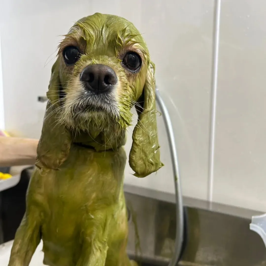 ハーブパック🌿