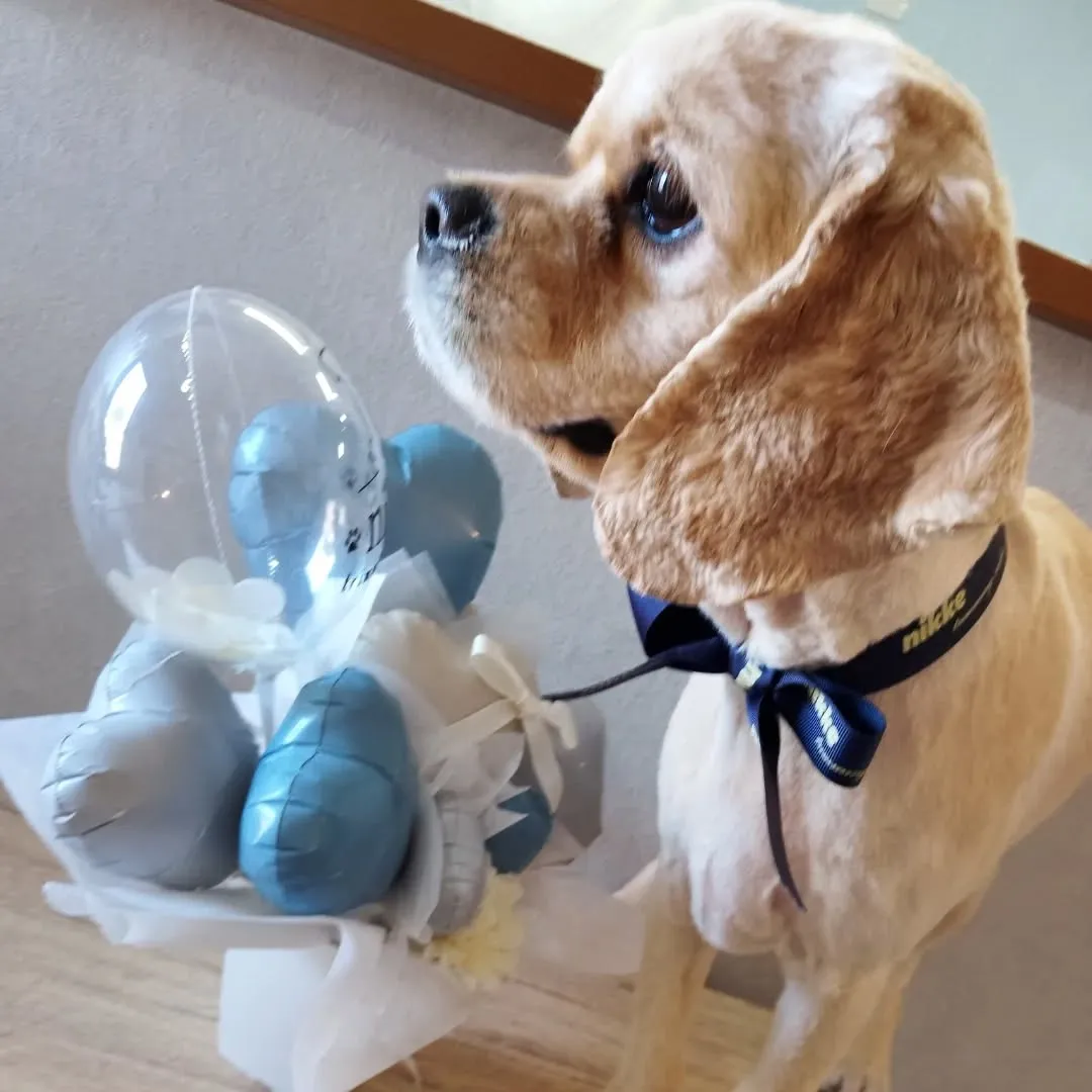 ハーブパック🌿