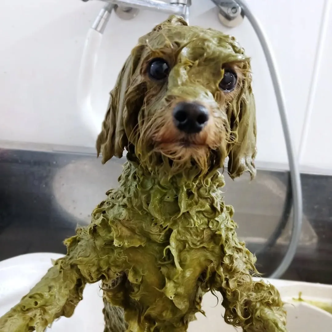 ハーブパック🌿