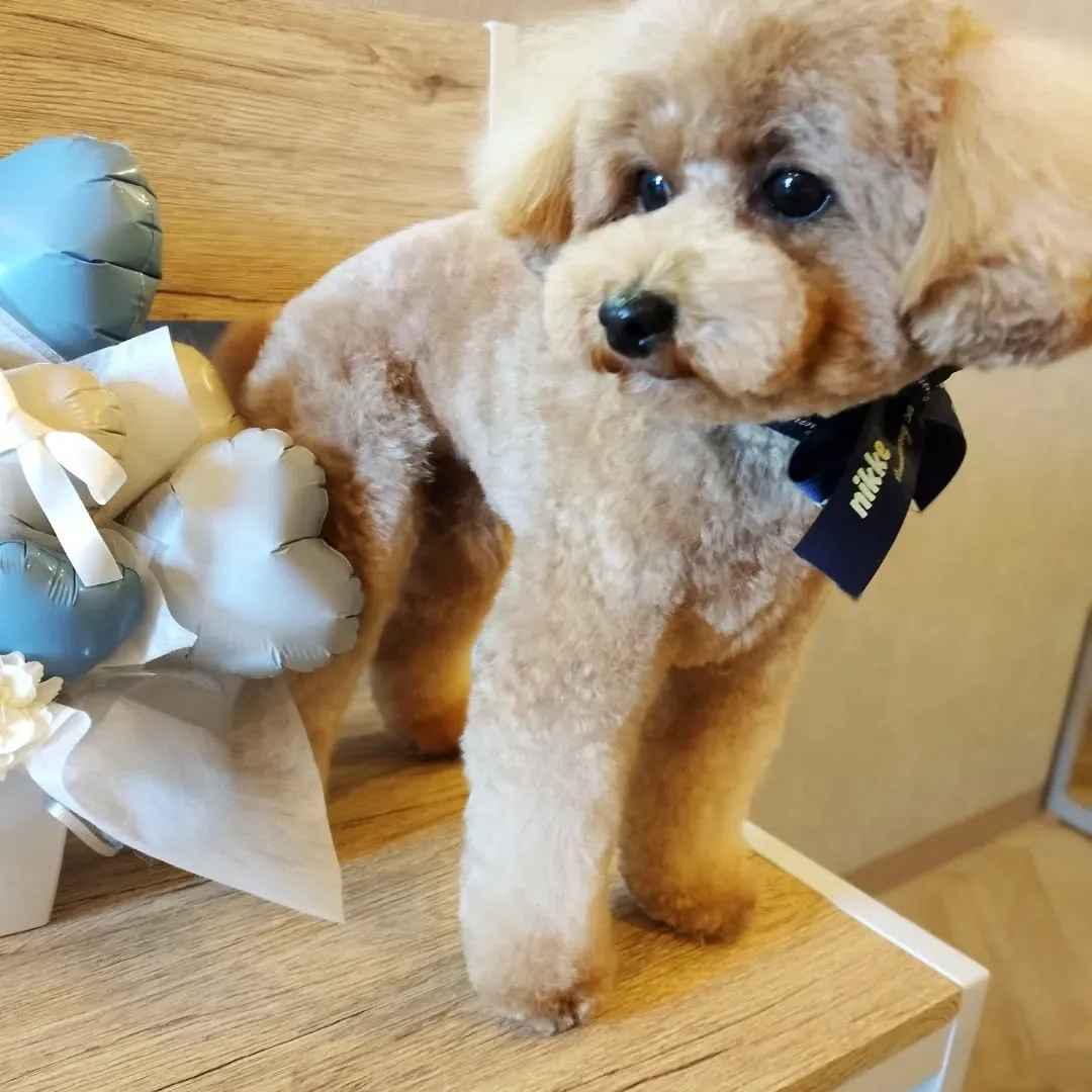 ハーブパック🌿