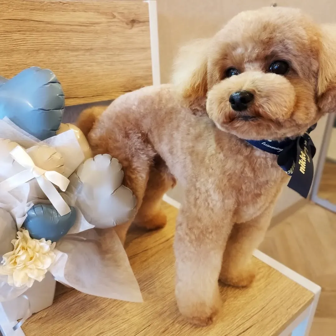 ハーブパック🌿