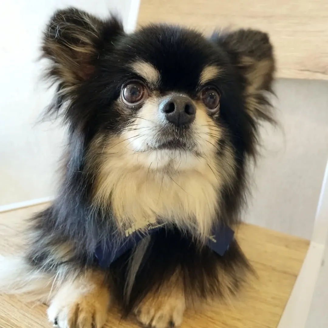 ハーブパック🌿