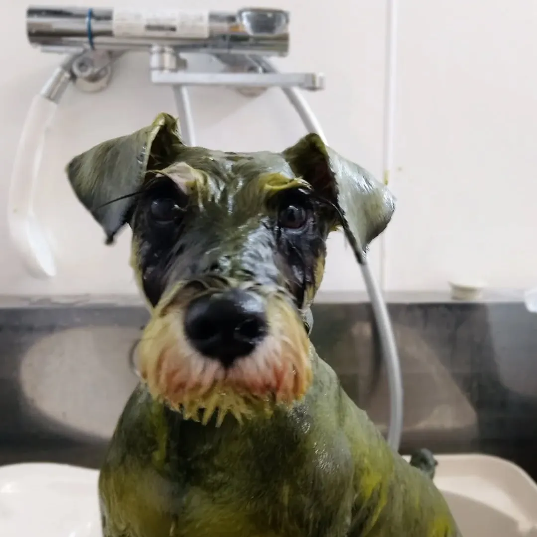 ハーブパック🌿