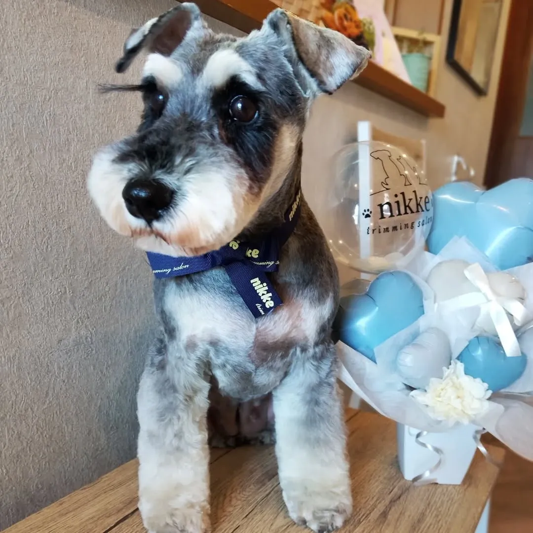 ハーブパック🌿