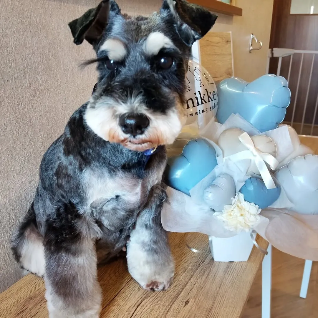 ハーブパック🌿