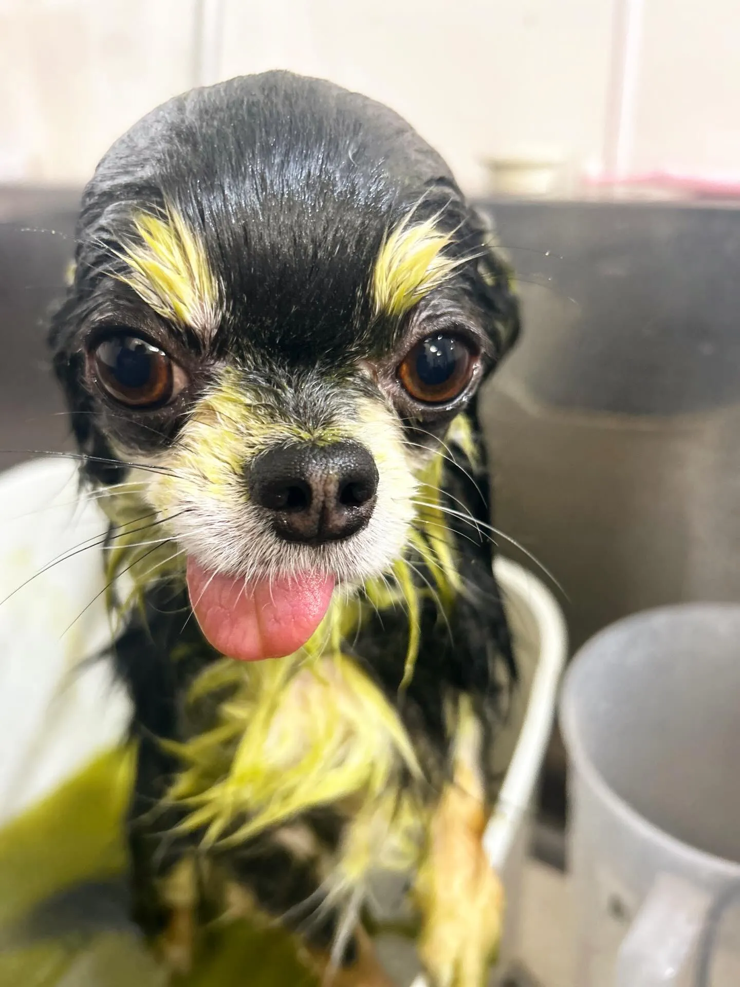 ハーブパック🌿