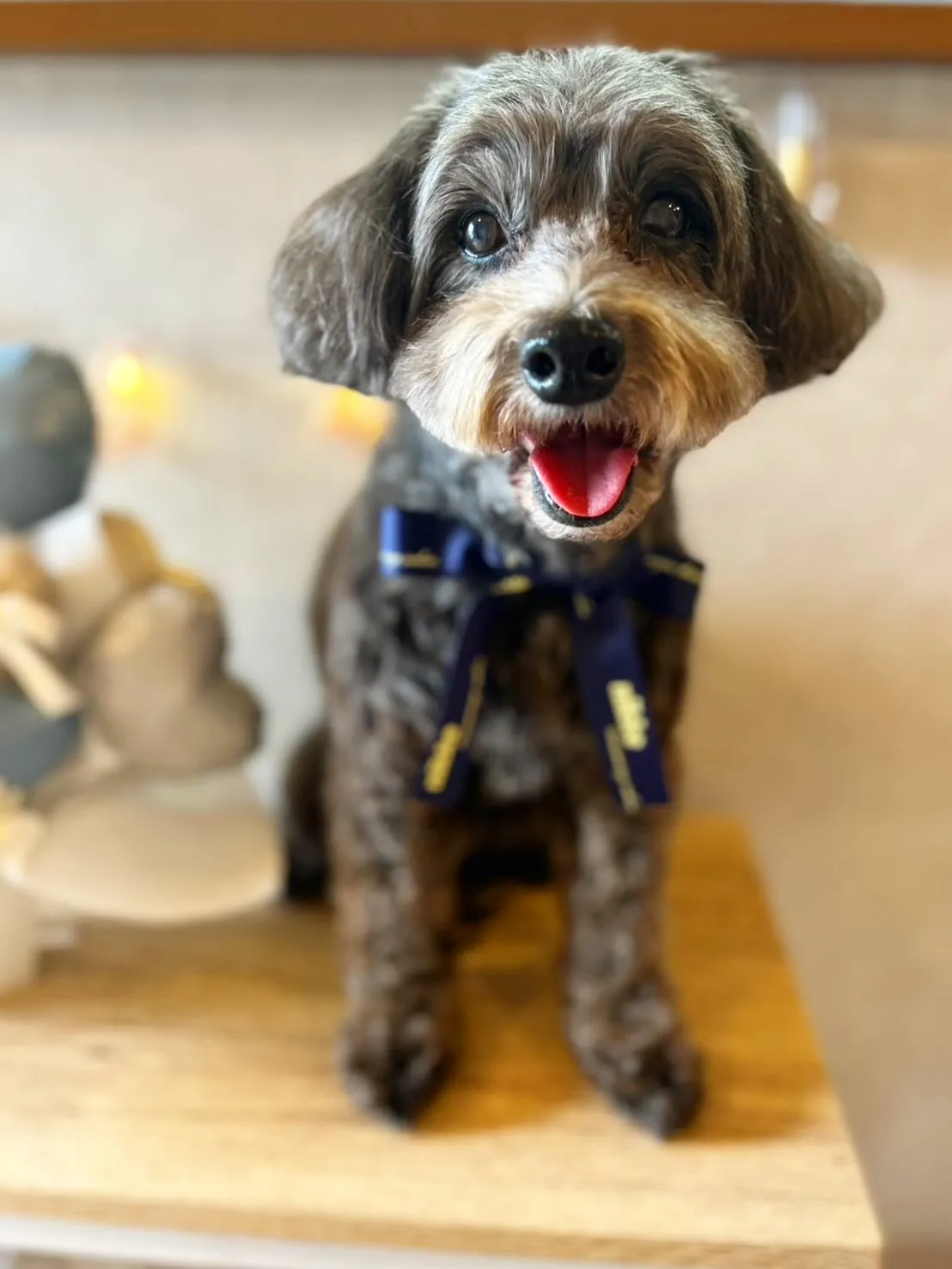 ハーブパック🌿