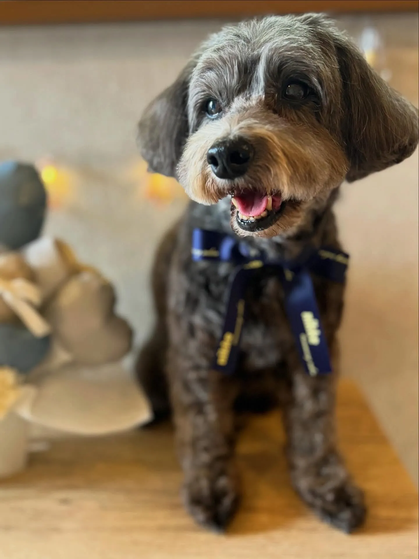 ハーブパック🌿