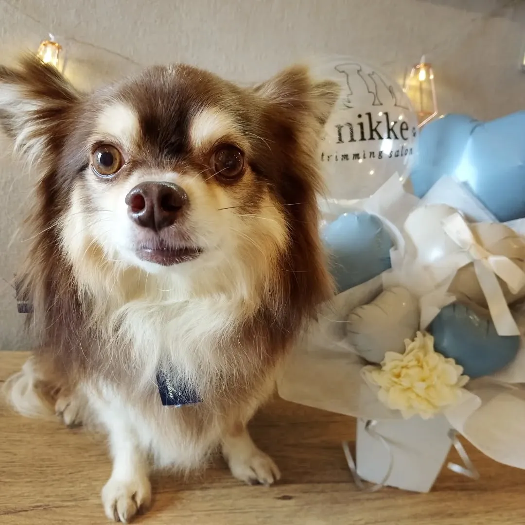 ハーブパック🌿