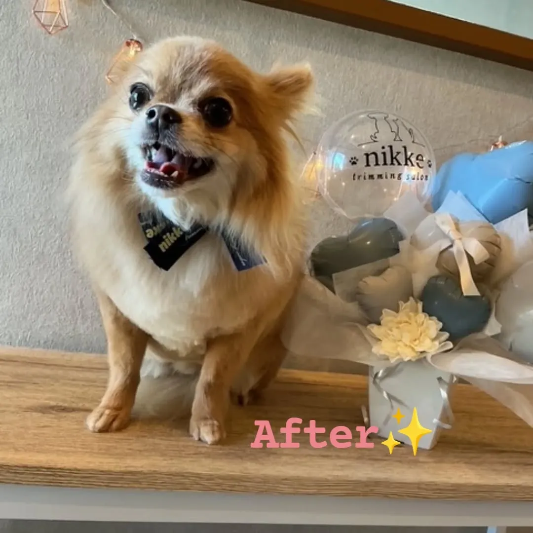 ハーブパック🌿