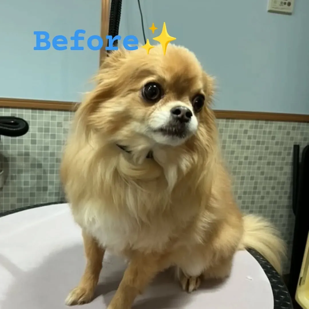 ハーブパック🌿