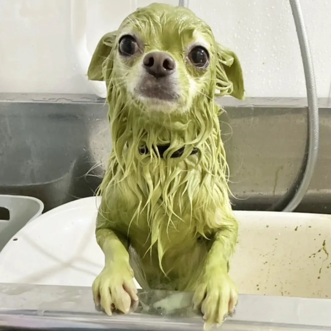 ハーブパック🌿