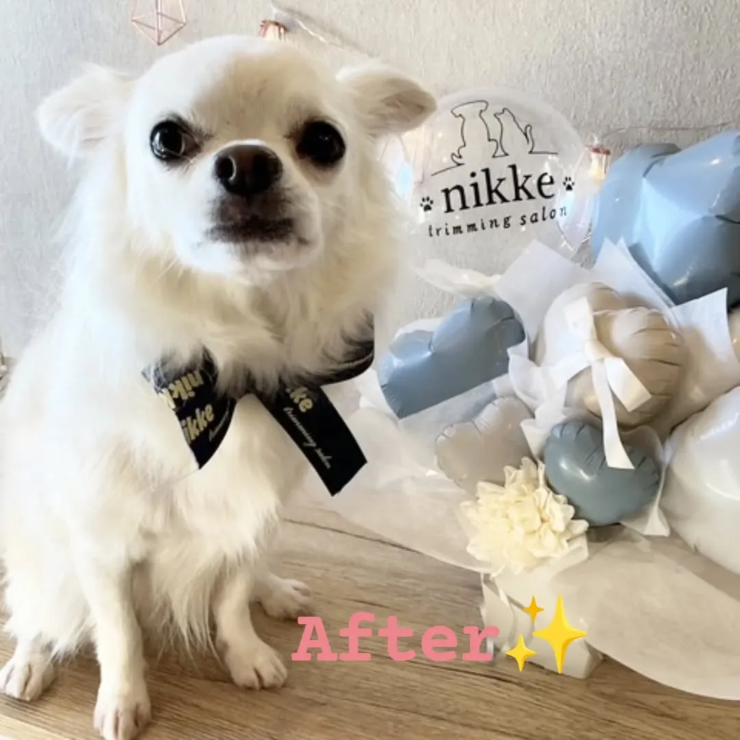 ハーブパック🌿