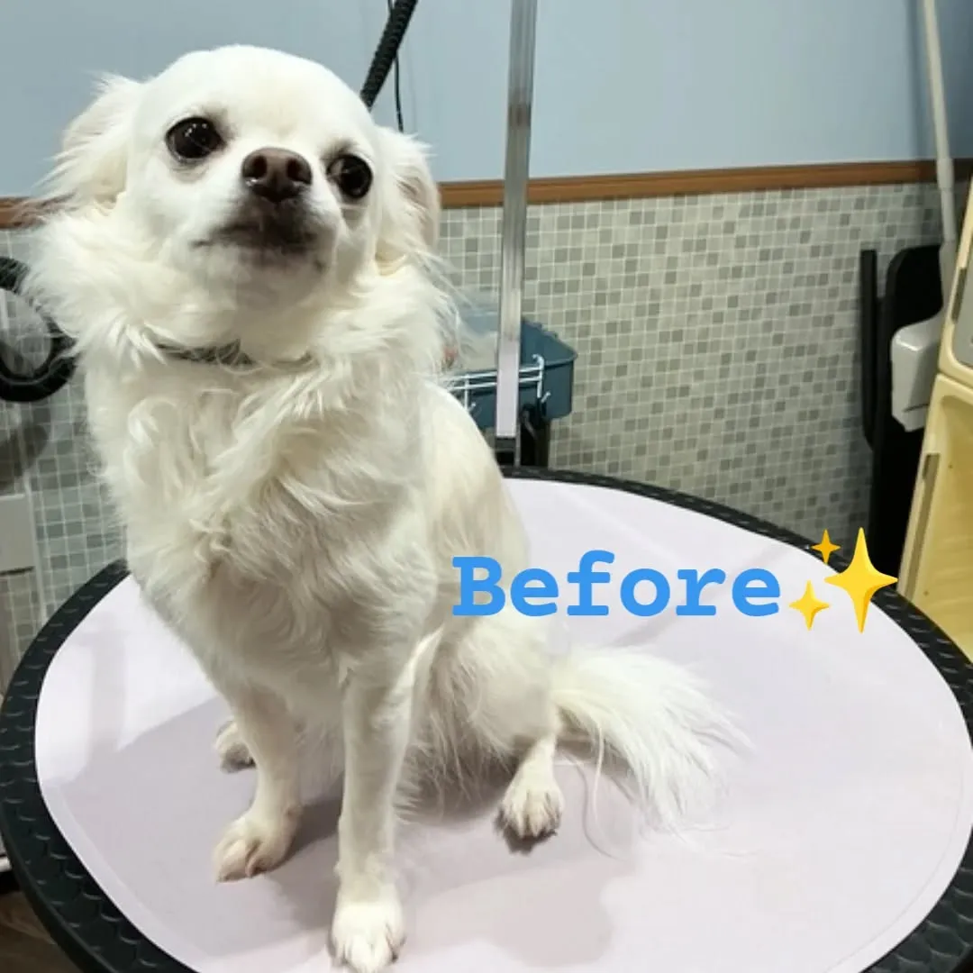 ハーブパック🌿