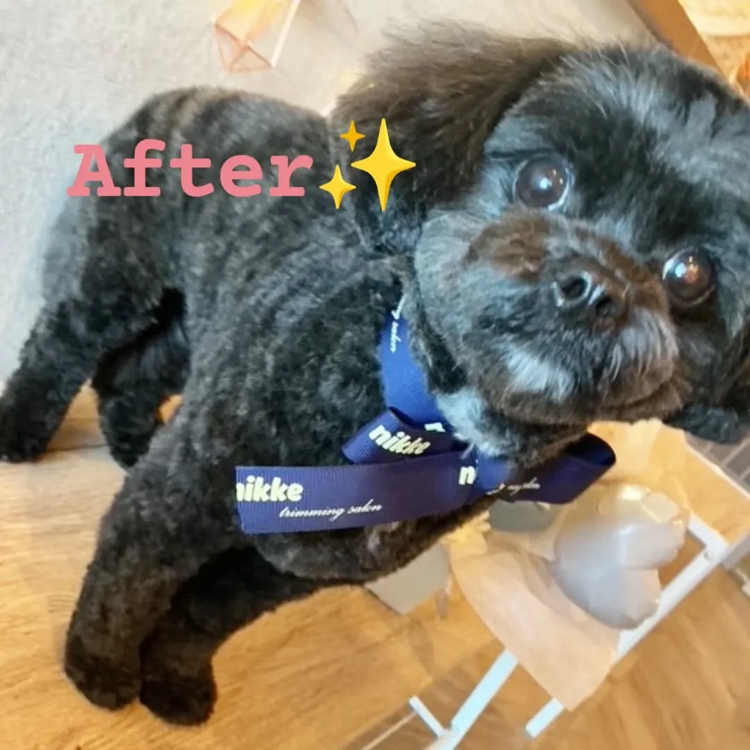 ハーブパック🌿