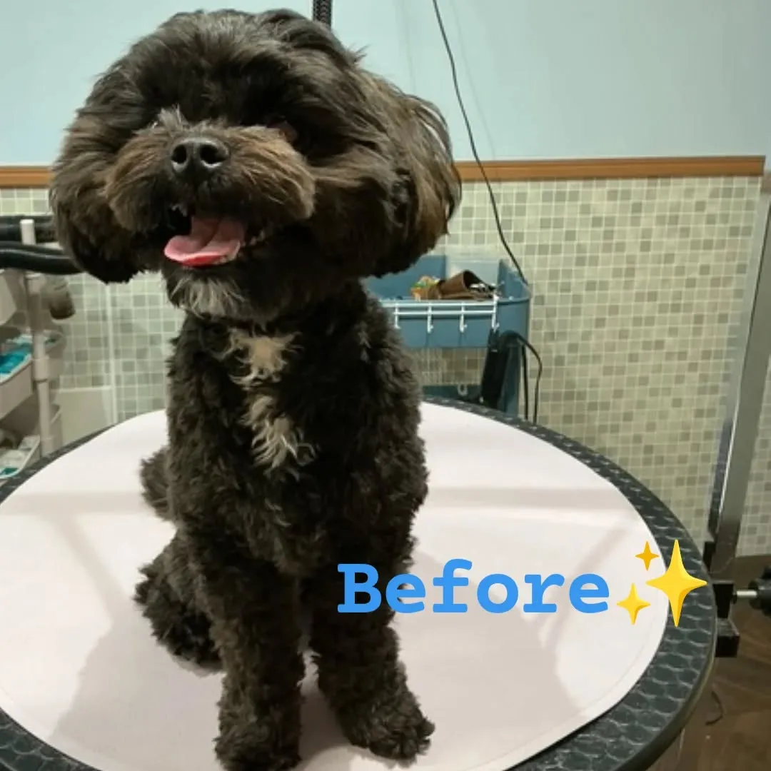 ハーブパック🌿