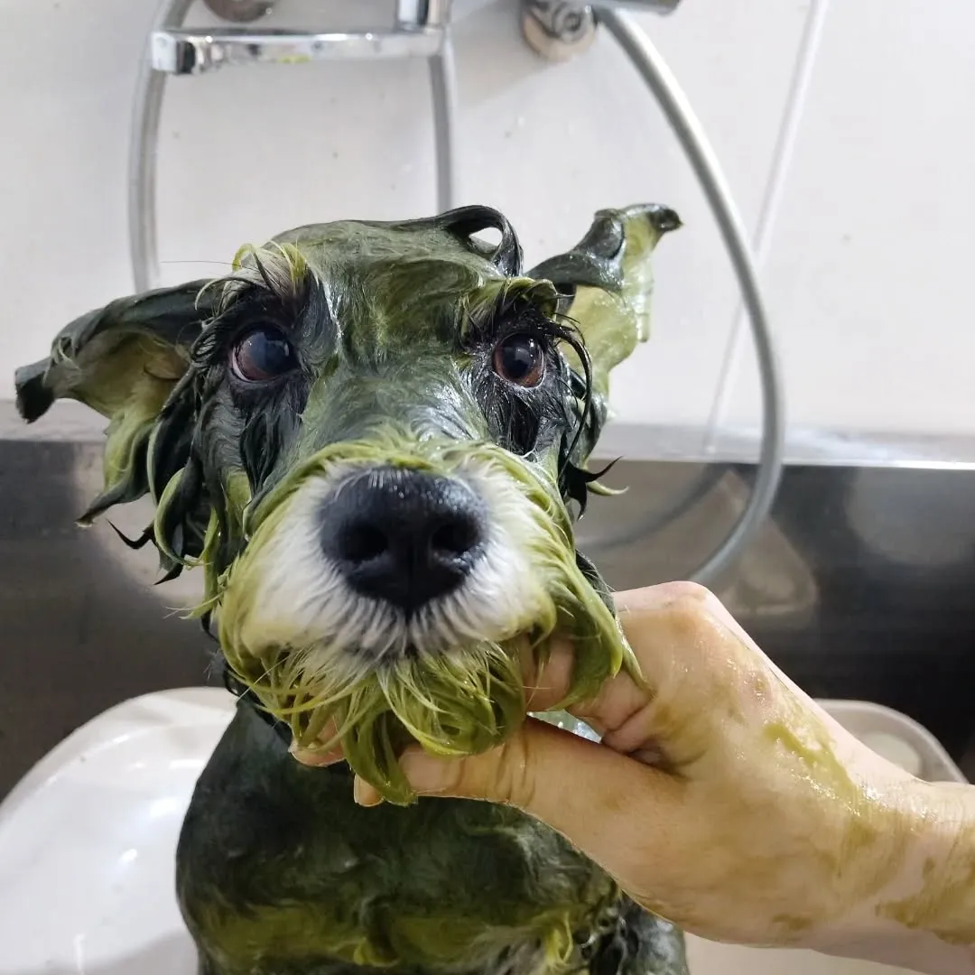 ハーブパック🌿