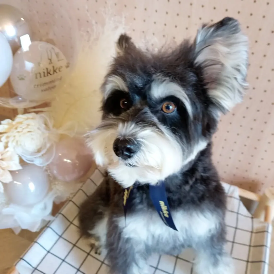 ハーブパック🌿