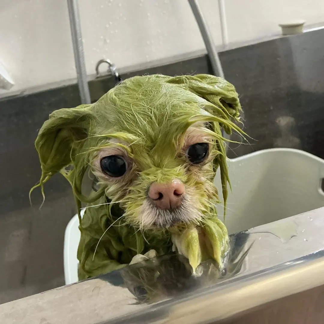 ハーブパック🌿