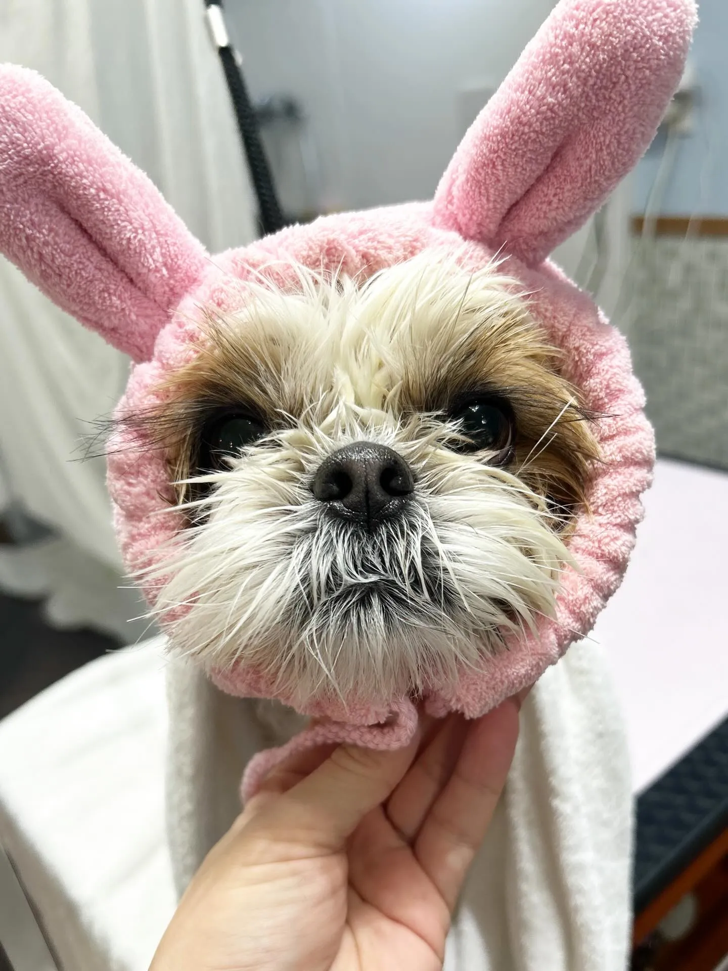 ハーブパック🌿