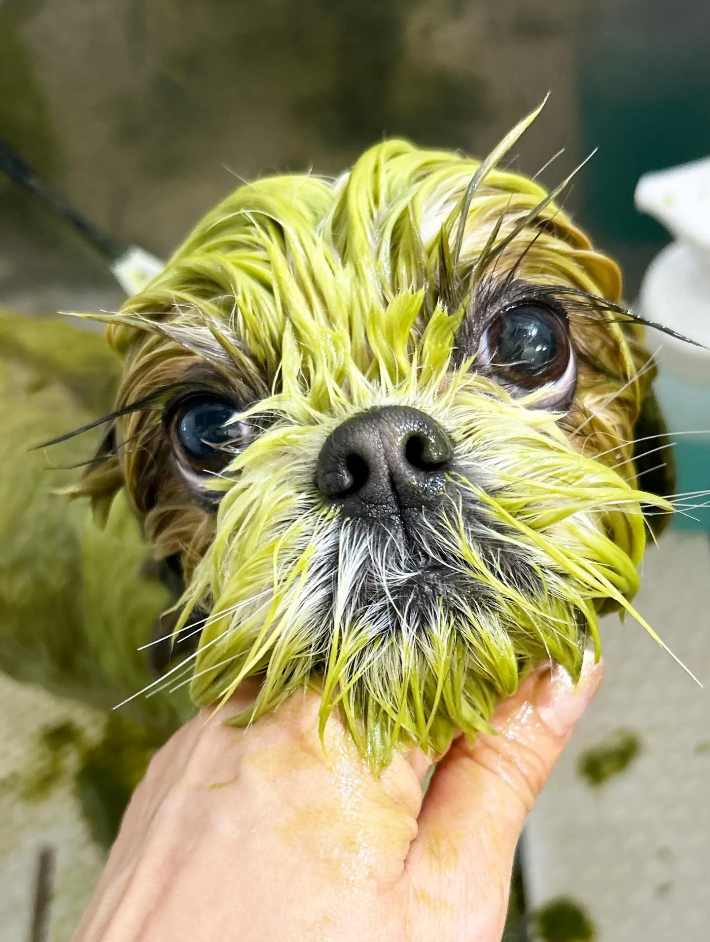 ハーブパック🌿