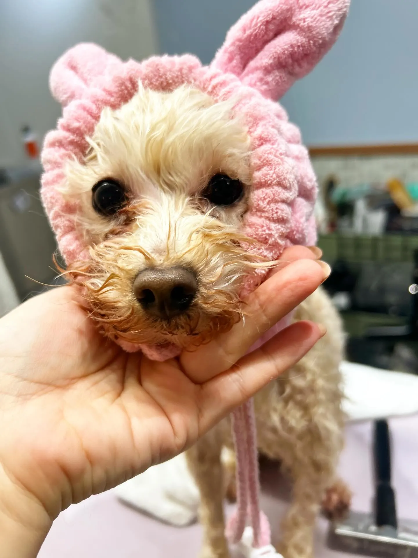 ハーブパック🌿