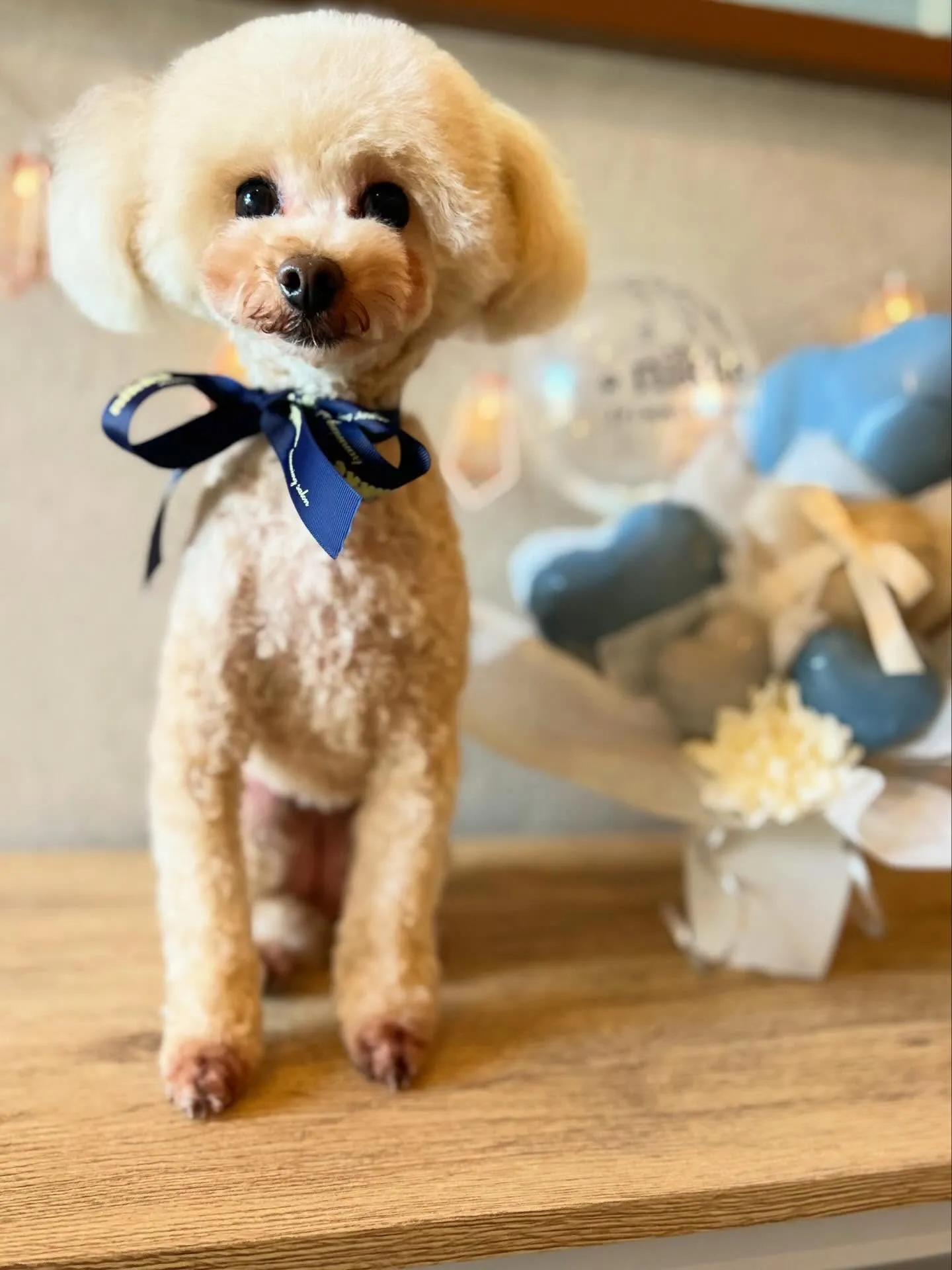 ハーブパック🌿