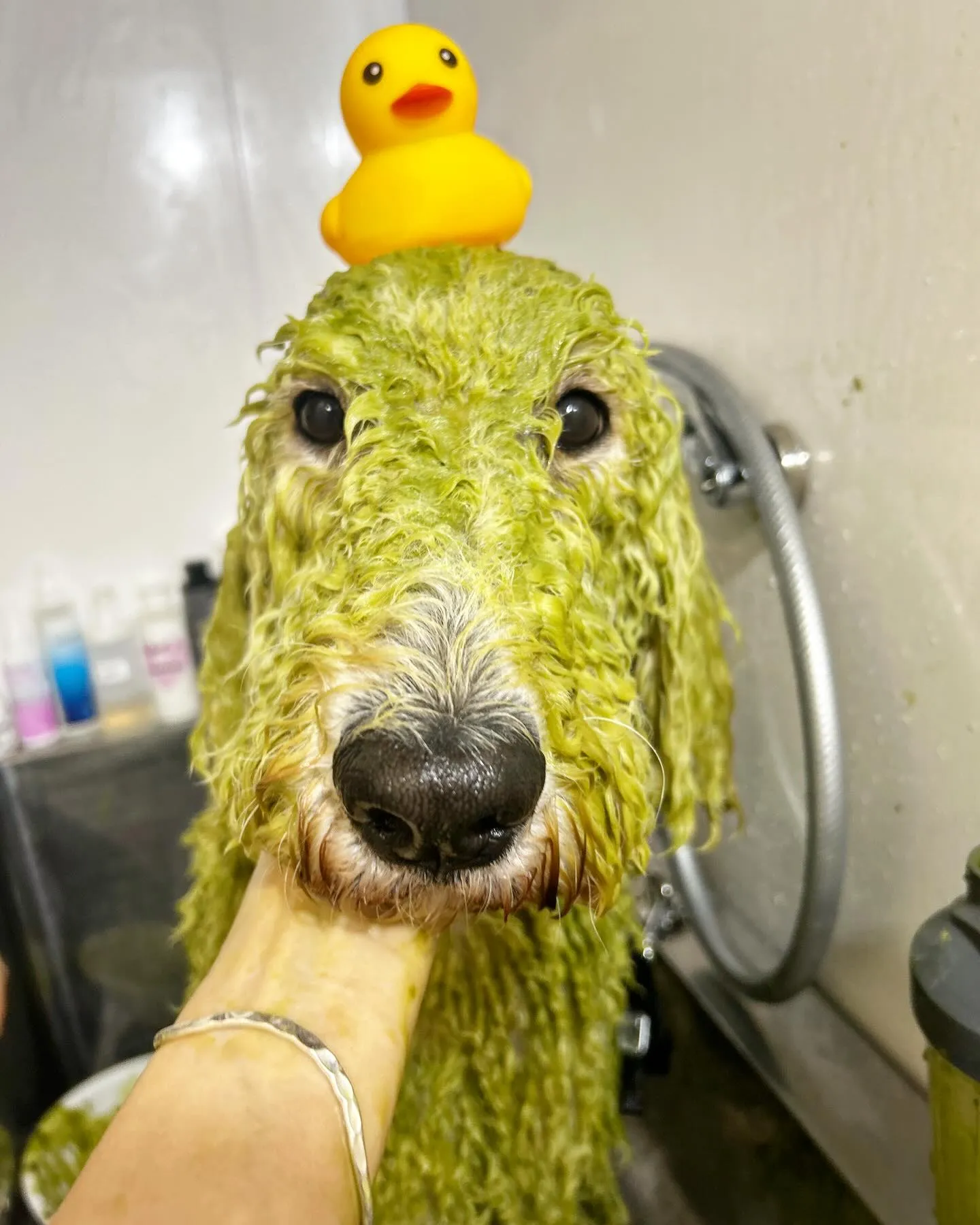 ハーブパック🌿