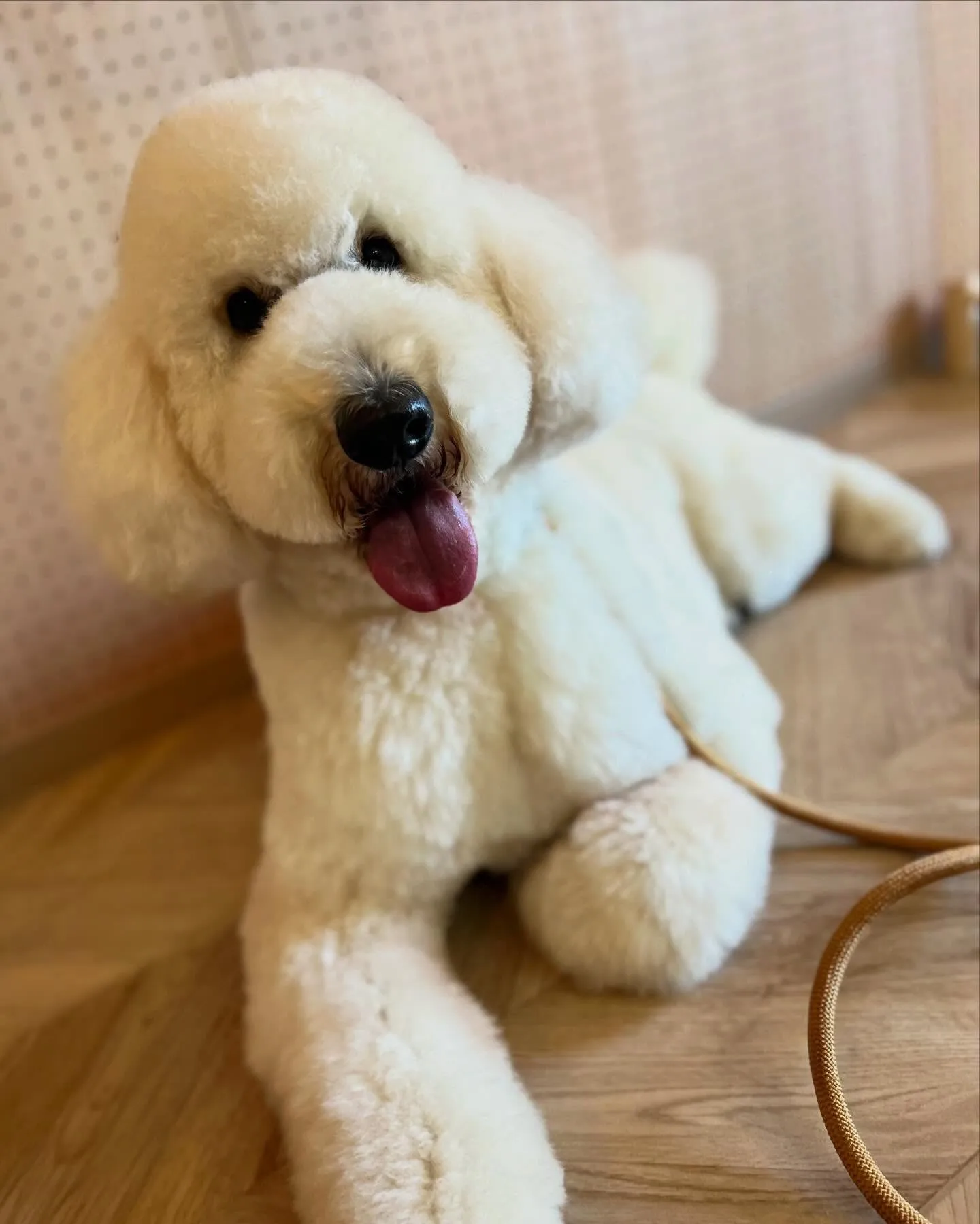 ハーブパック🌿