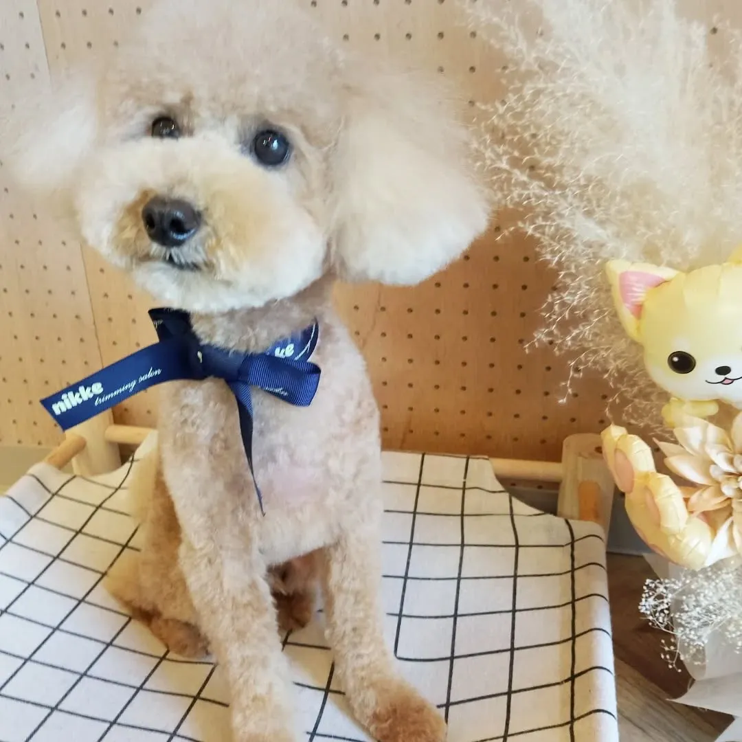 ハーブパック🌿