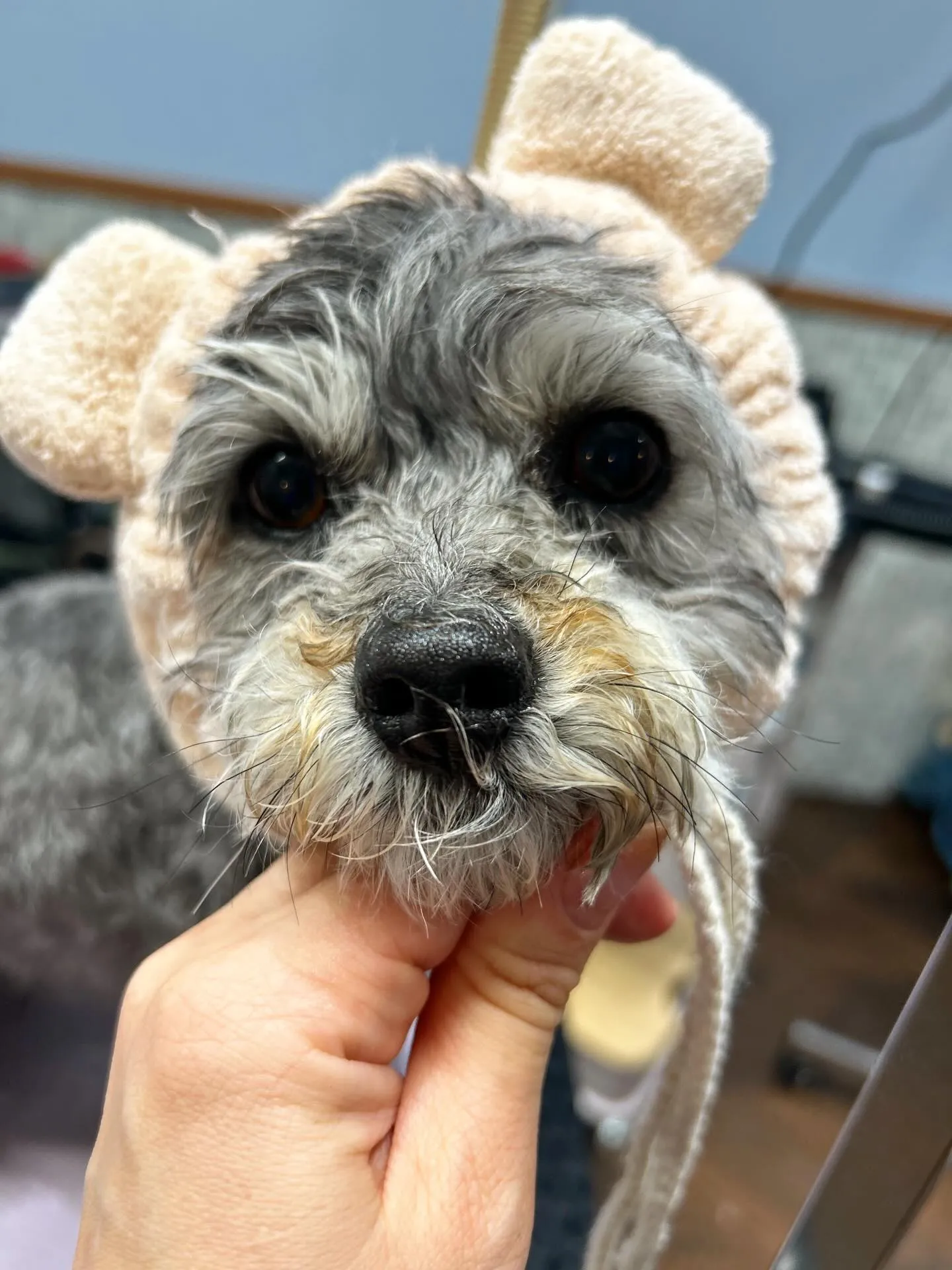 ハーブパック🌿