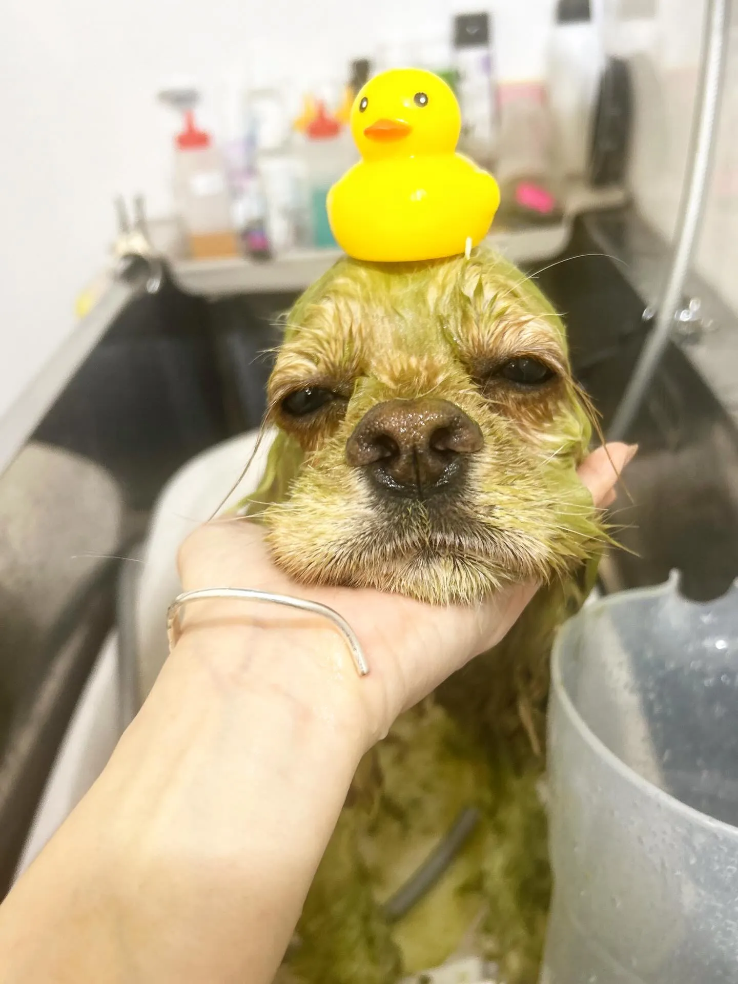 ハーブパック🌿