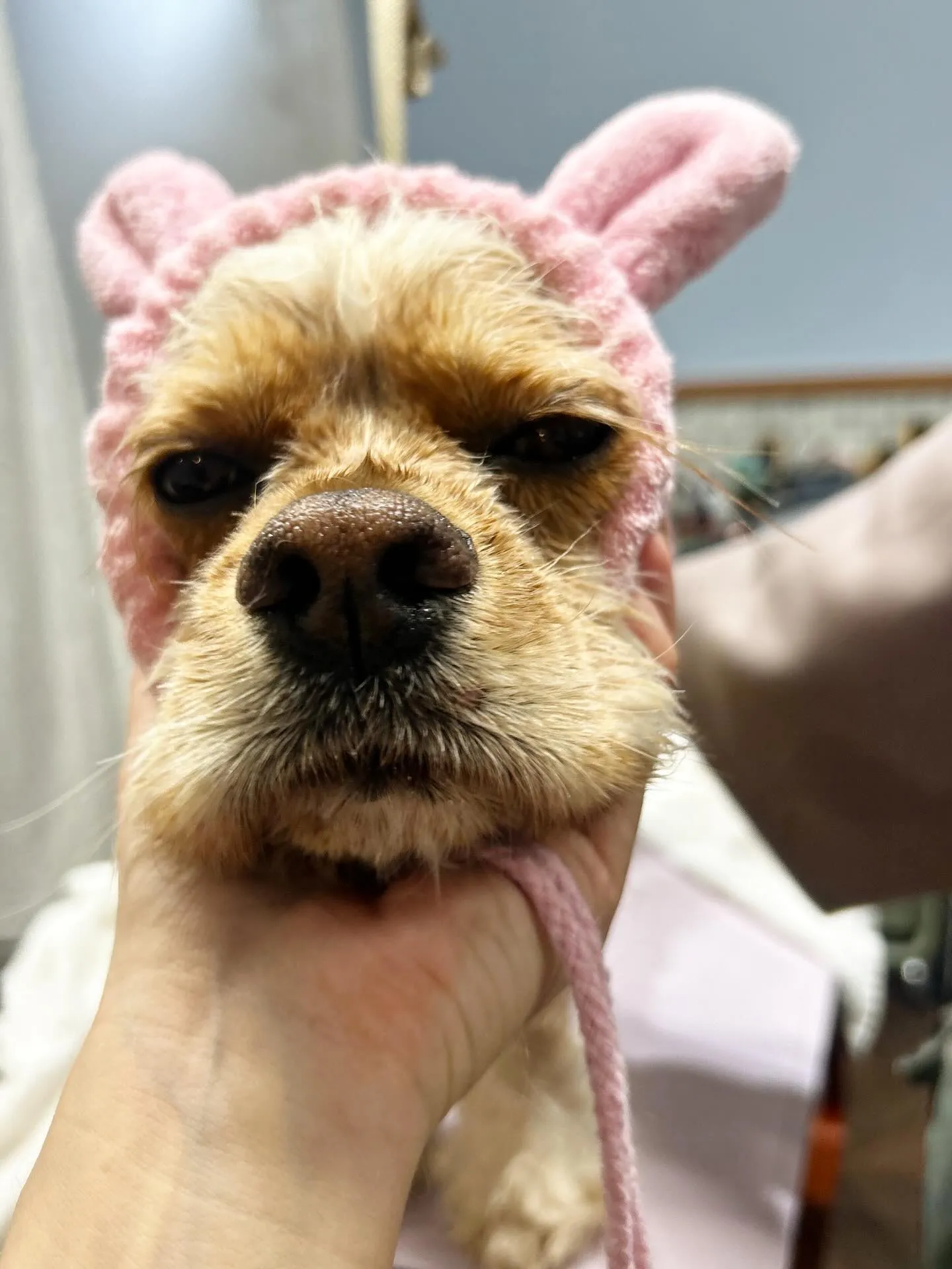 ハーブパック🌿