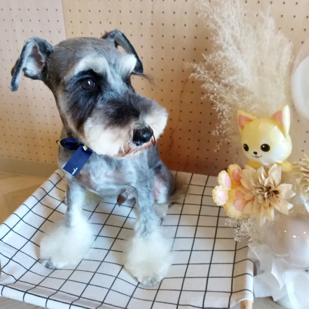 ハーブパック🌿