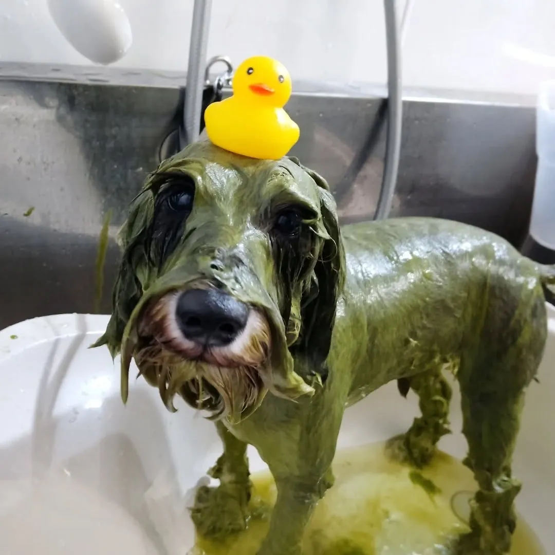 ハーブパック🌿