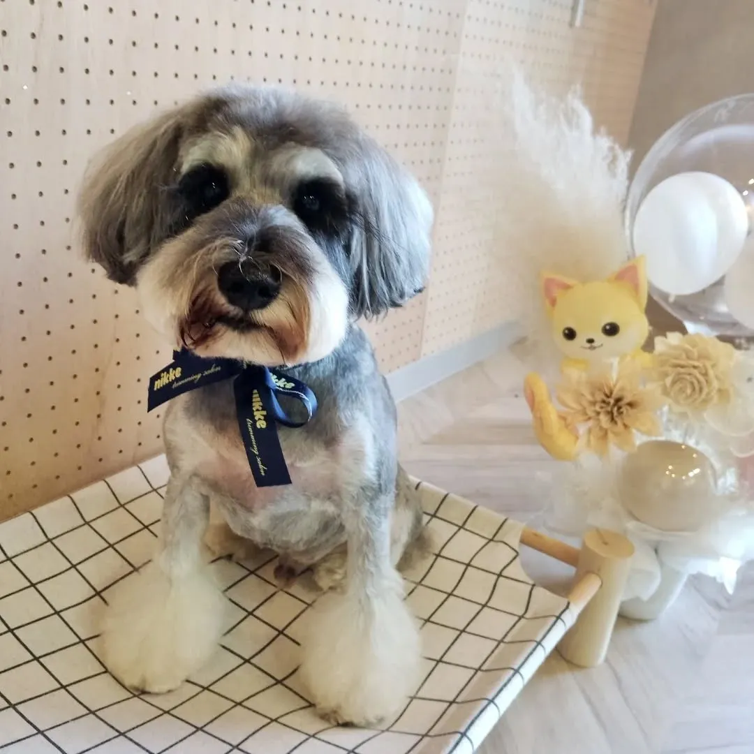 ハーブパック🌿