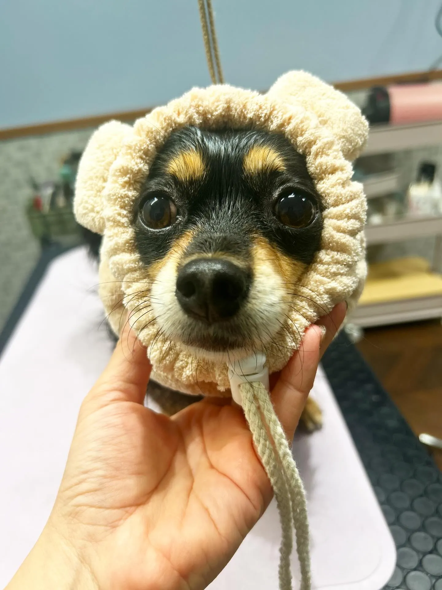 ハーブパック🌿