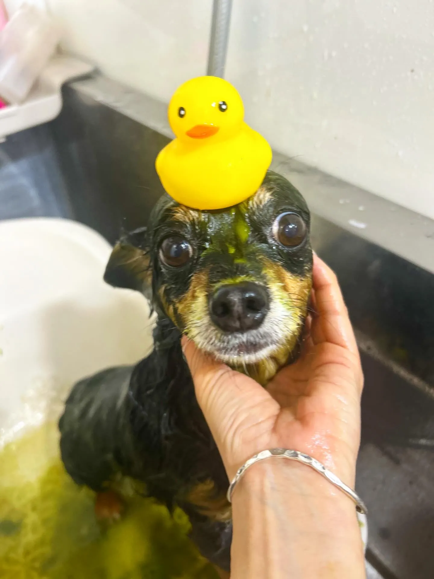 ハーブパック🌿