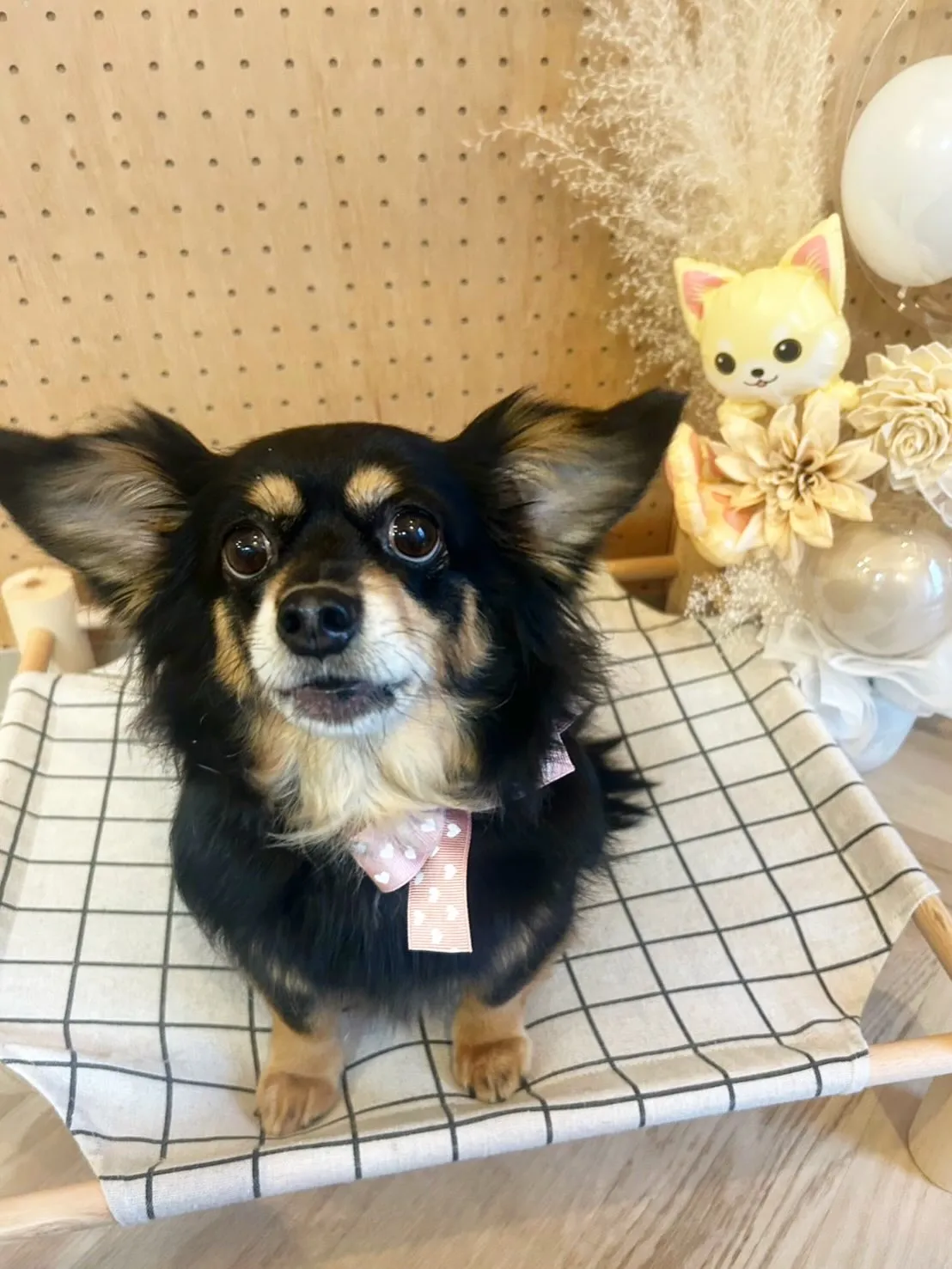 ハーブパック🌿